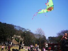 -青龙山公园