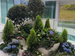 -云溪植物园