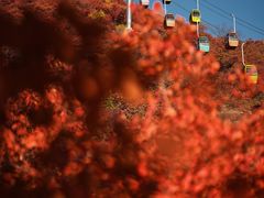 -周口店坡峰岭风景区