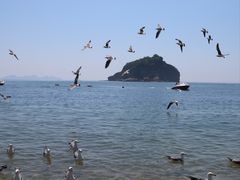 -棒棰岛宾馆景区