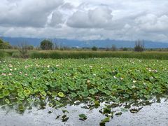 -野鸭湖国家湿地公园