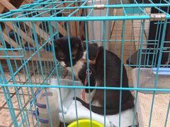 -艾加柒克蛋糕茶歇甜品台(春熙路店)