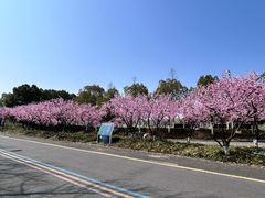 -南京眼步行桥