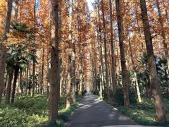 -上海怡沁园度假酒店