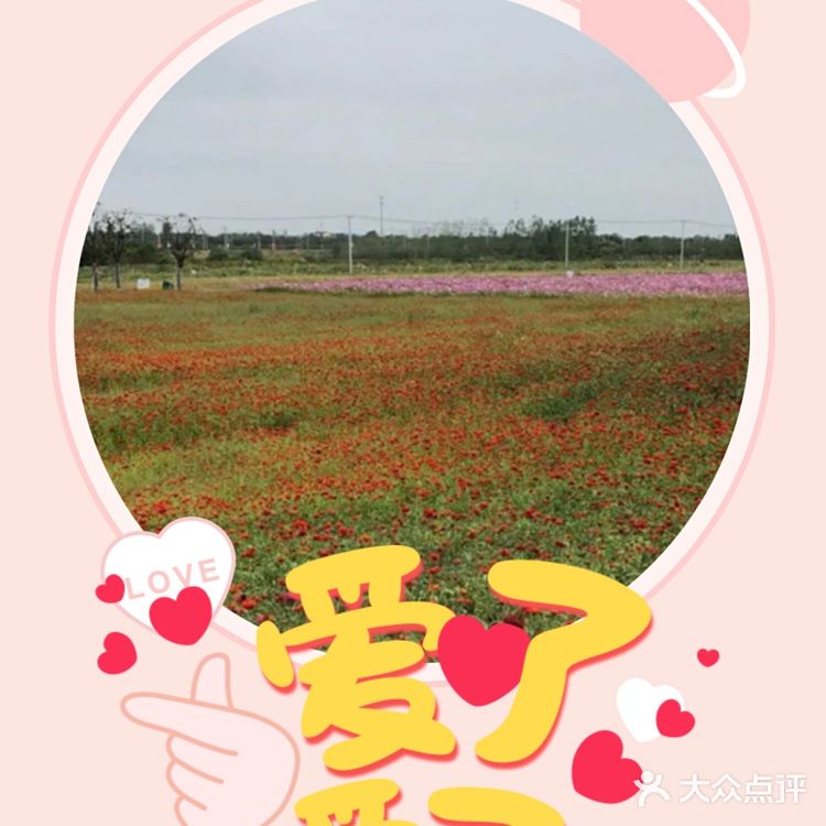 美丽的翠洲芳谷