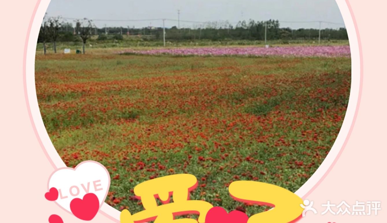 美丽的翠洲芳谷