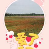 美丽的翠洲芳谷