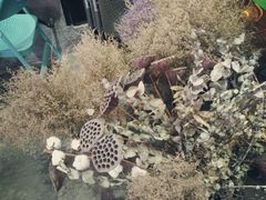 -MIKAKU(万达广场上海宝山店)