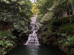 -十八棵（老龙井）御茶园(老龙井店)
