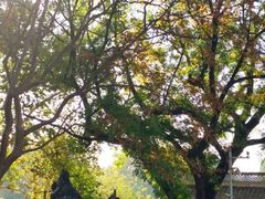 -东坡赤壁风景名胜区