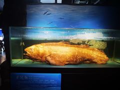 -国家自然博物馆