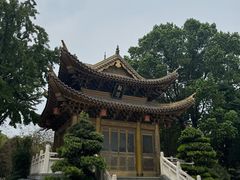 -上海东林寺(金山区)