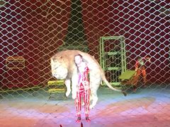 -珠海横琴长隆《卡卡虎奇遇记》