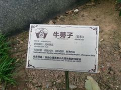 android_upload_pic-广州神农草堂中医药博物馆