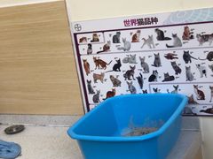 -美联众合动物医院·24h京西诊疗中心