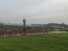 -美家乐农庄·露营·团建(大治路店)