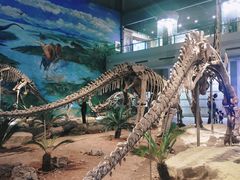 -自贡恐龙博物馆