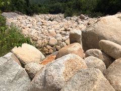 -海南霸王岭国家森林公园