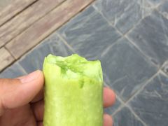 -兰陵国家农业公园