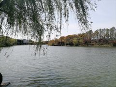 -上海怡沁园度假酒店