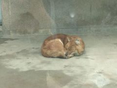 -西安秦岭野生动物园