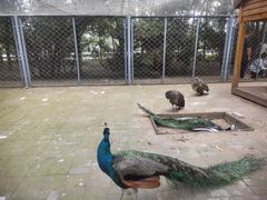 -长白岛森林公园