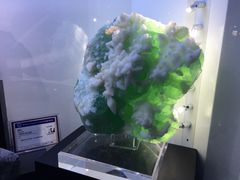 -中国地质大学逸夫博物馆