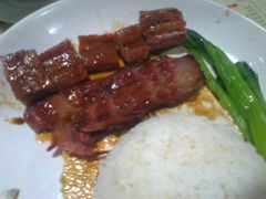 叉烧排骨双拼特写-香港仔茶餐厅(凤阳店)