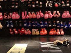 -威尔仕健身·游泳(KING88店)