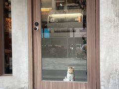 -Again Coffee Roaster(香蜜湖店)