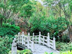 -深圳国际园林花卉博览园