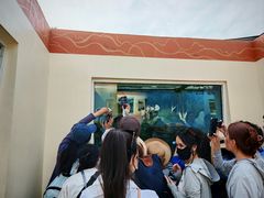 -青藏高原野生动物园