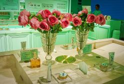 -青稚护手霜QINGZHI