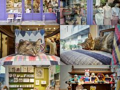 -恋物百货商店(华侨城店)