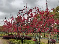 -上海市龙华烈士陵园