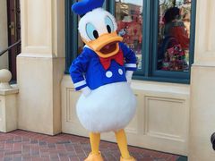 -成桂西餐厅·42年的味道(五大道疙瘩楼店)