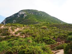 -杨梅坑