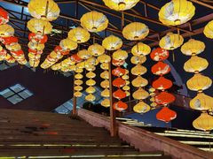 -重庆国际马戏城