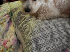 -北京稻香村(第三店)