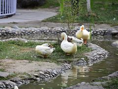 -水磨沟公园