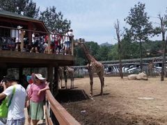 -大连森林动物园