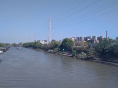 -运河游船(武林门码头)