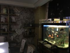 -润青四季音乐主题餐厅·椰子鸡(罗湖店)