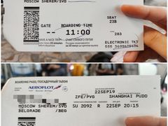 -谢列梅捷沃国际机场