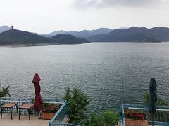 -望湖烤鱼