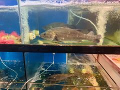 -美味海鲜大排档(明发美食地标店)