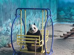 -沈阳森林动物园