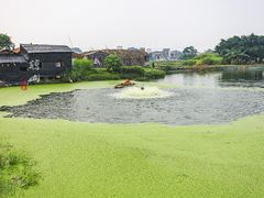 -江门古劳水乡旅游区
