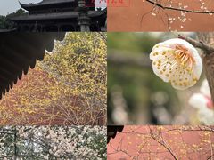 -钱王祠