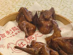 -百利鸽王(紫薇路店)